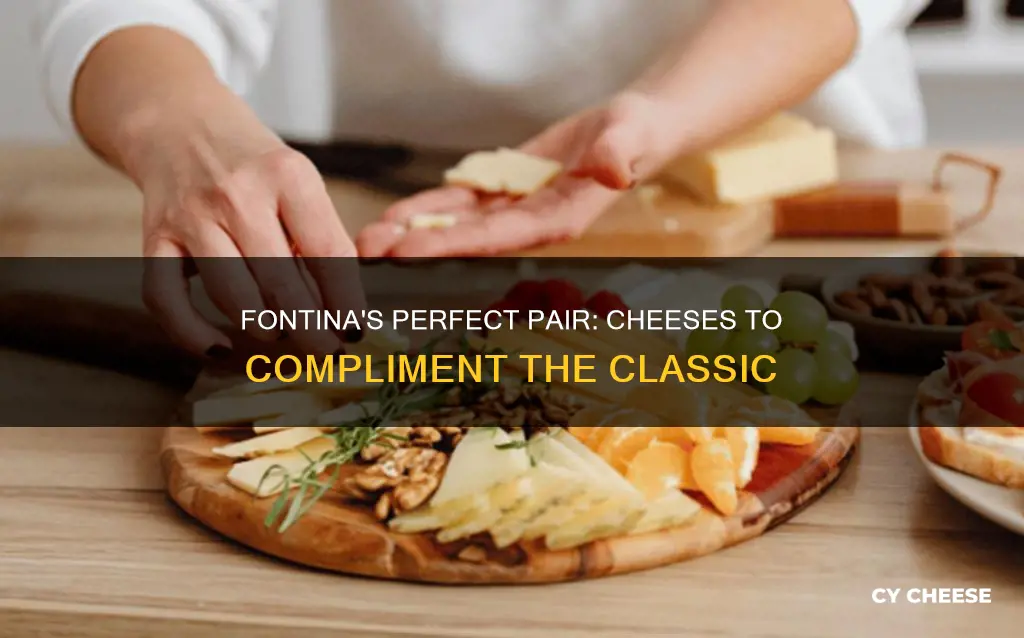 what cheese goes well with fontina