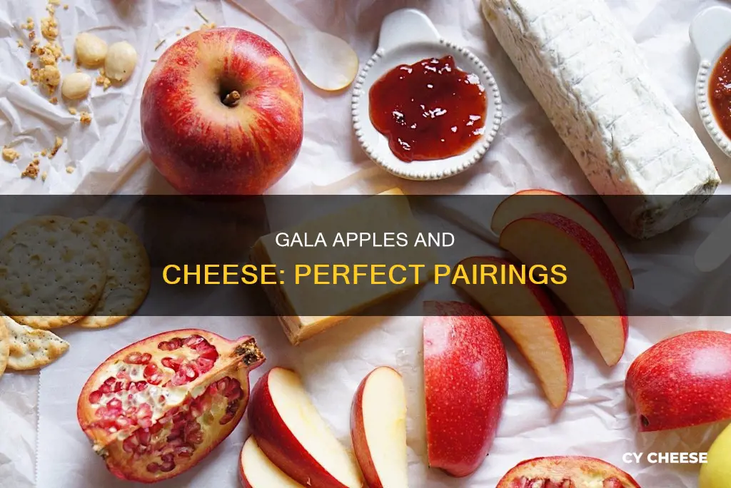 what cheese goes well with gala apples