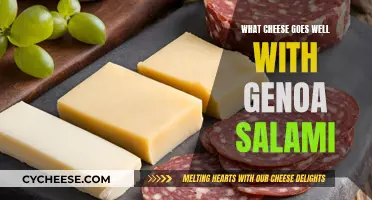 Best Cheeses to Compliment Genoa Salami