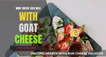 Goat Cheese Companion: Which Cheeses Complement Goat Cheese?