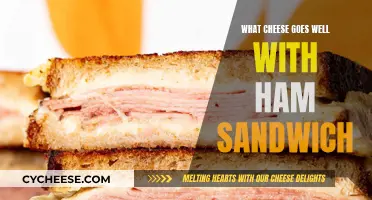 The Perfect Ham Sandwich: Cheesy Delights