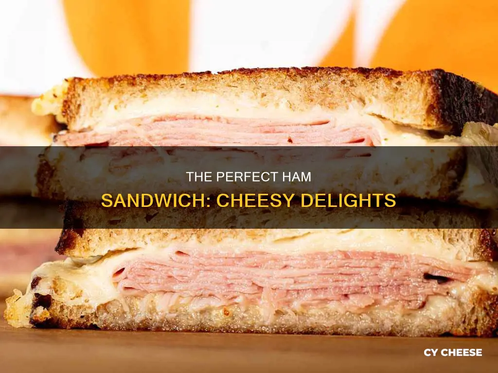 what cheese goes well with ham sandwich