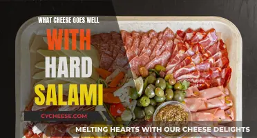 Hard Salami's Perfect Cheese Pairing Partners: A Guide