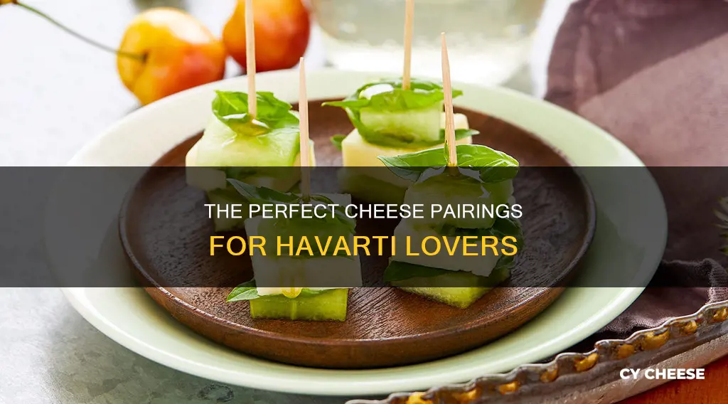 what cheese goes well with havarti