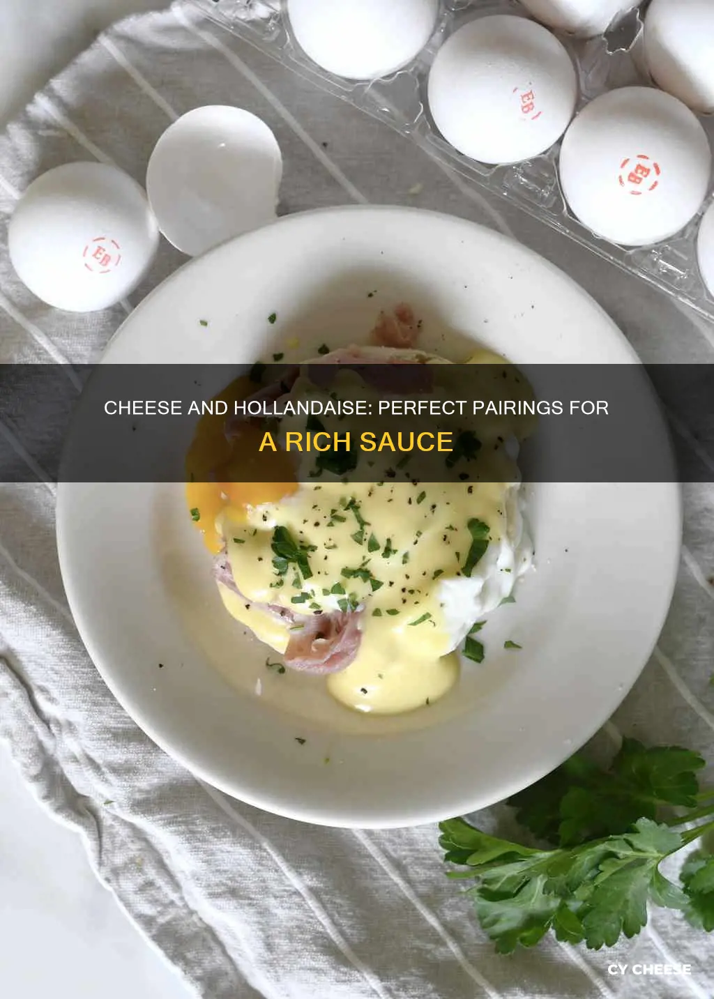 what cheese goes well with hollandaise sauce