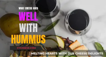 Cheese and Hummus: Perfect Pairing for a Snack