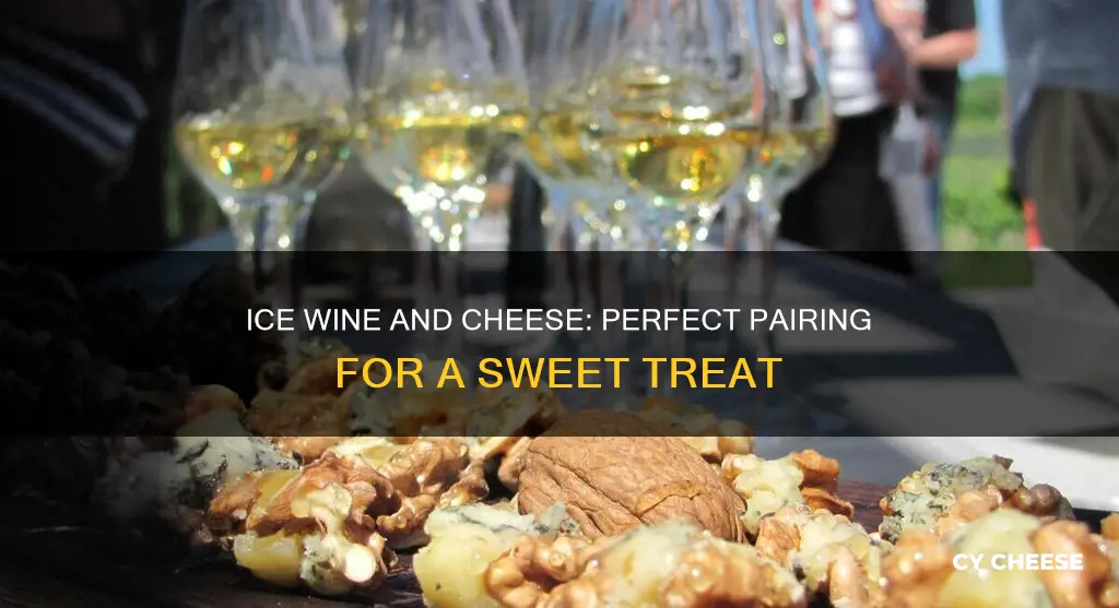 what cheese goes well with ice wine