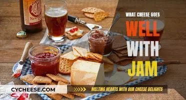 Cheese and Jam: Perfect Pairing Ideas for Your Palate