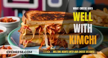 Kimchi's Best Cheese Partners: A Cultural Food Fusion