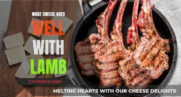 Cheese and Lamb: Perfect Pairing for a Delicious Dish