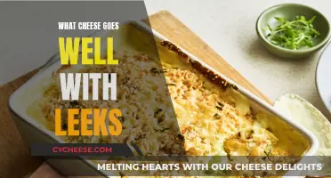 Leeks' Best Cheesy Companions: A Flavorful Guide