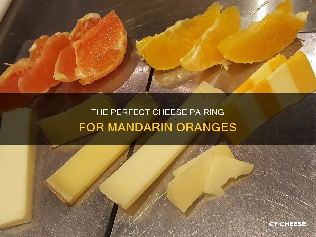 what cheese goes well with mandarin