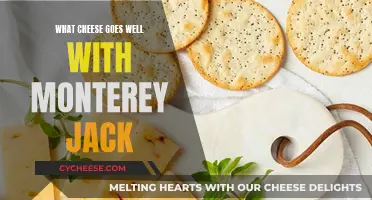 The Perfect Pairings for Monterey Jack Cheese