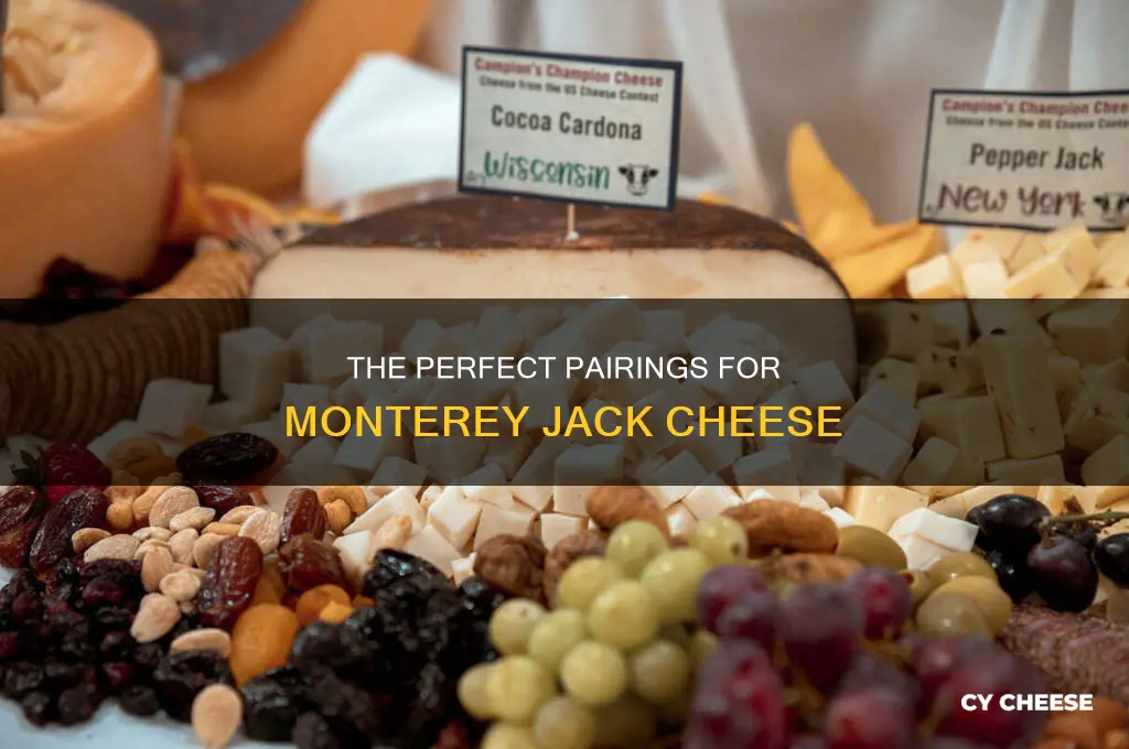 what cheese goes well with monterey jack