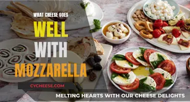 Mozzarella's Perfect Partners: Cheeses that Complement Mozzarella