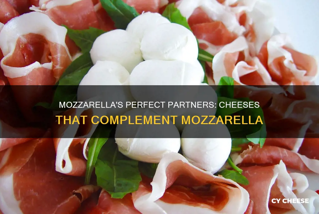 what cheese goes well with mozzarella