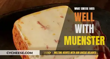 The Perfect Pairing Partners for Muenster Cheese