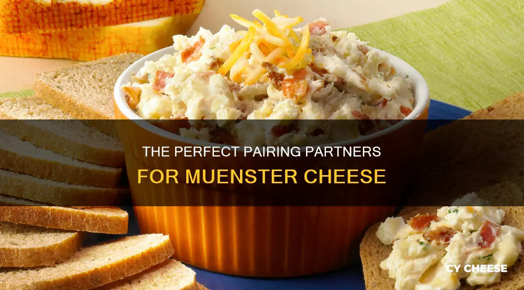 what cheese goes well with muenster