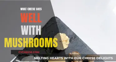 Mushroom and Cheese: Perfect Pairing for Foodies