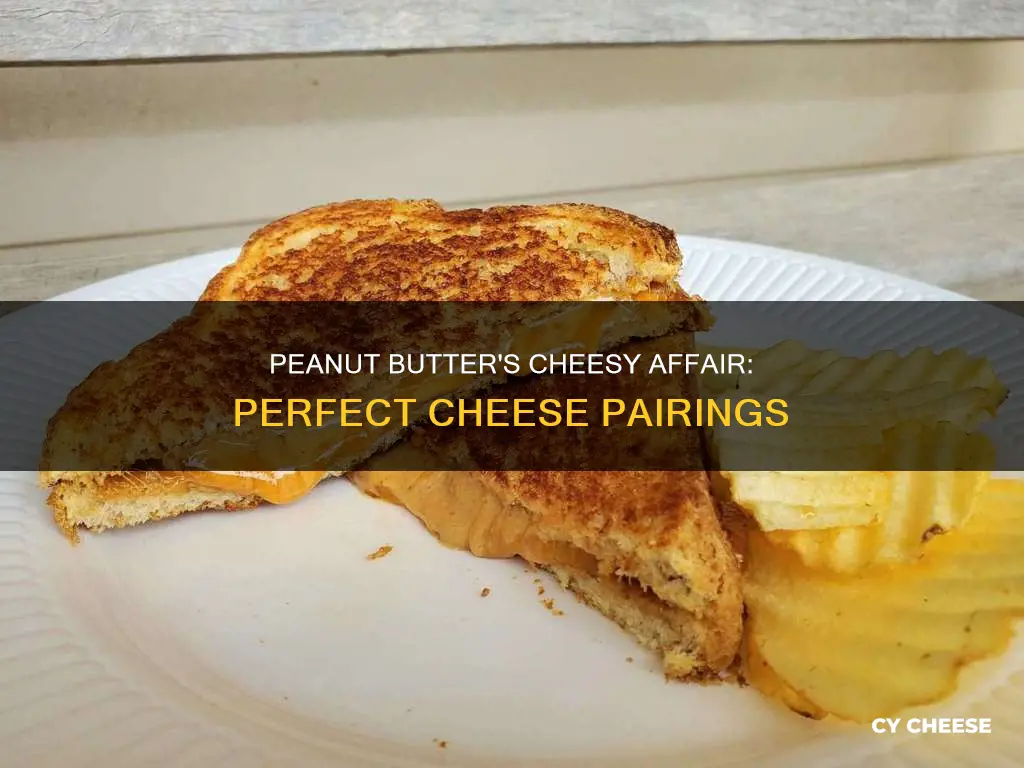 what cheese goes well with peanut butter