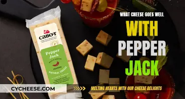 The Perfect Pair: Pepper Jack and Its Cheesy Companions