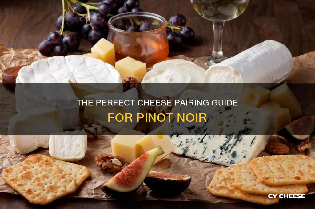 what cheese goes well with pinot noir