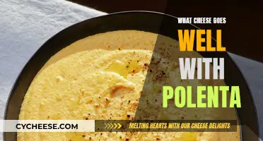 Polenta's Perfect Cheese Partners: Finding the Right Flavor Match