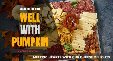 Pumpkin's Perfect Cheese Partners: A Seasonal Foodie Guide