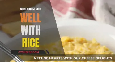 Cheese and Rice: Perfect Pairings for Your Palate