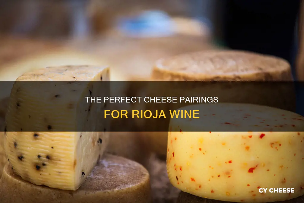 what cheese goes well with rioja