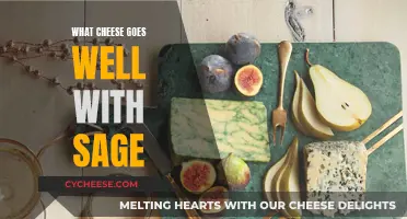 Sage and Cheese: Perfect Pairing for Flavorful Delights