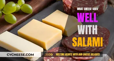 The Perfect Cheese Pairings for Salami