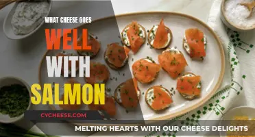 Cheese and Salmon: Perfect Pairing for a Delicious Dish