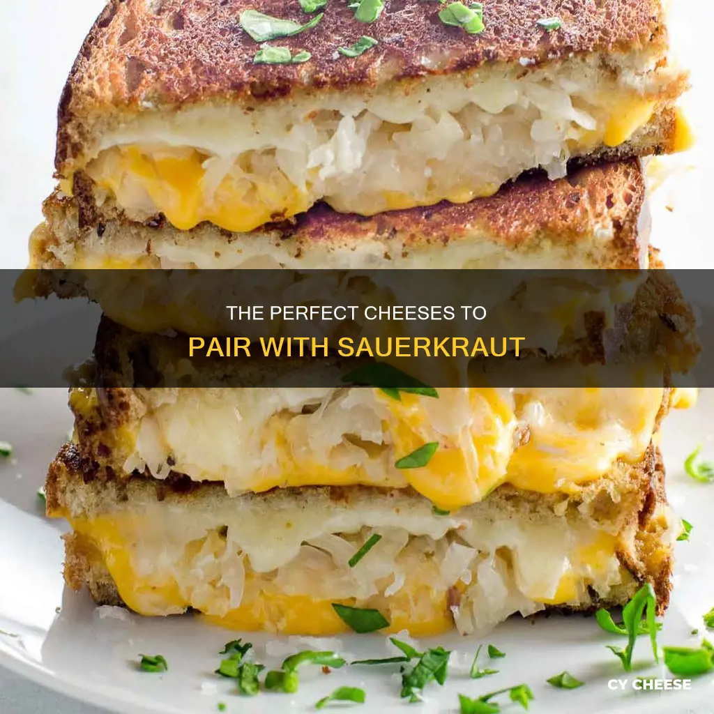 what cheese goes well with sauerkraut