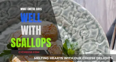 Scallops and Cheese: Perfect Pairing for Seafood Lovers