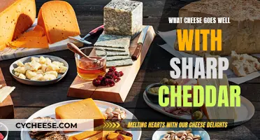 The Perfect Pair: Sharp Cheddar and Its Cheesy Companions