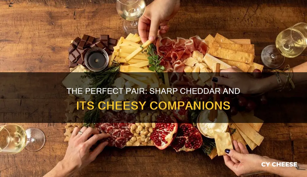 what cheese goes well with sharp cheddar