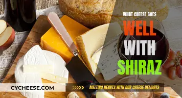 Shiraz and Cheese: Perfect Pairing for a Rich Taste