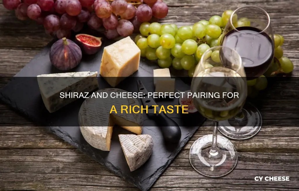 what cheese goes well with shiraz