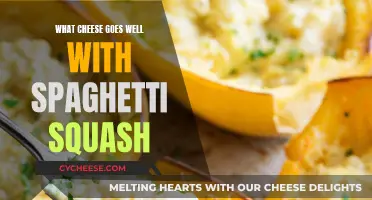 Cheese and Squash: Perfect Pairing for Spaghetti