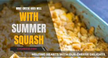 Summer Squash and Cheese: Perfect Pairing Ideas