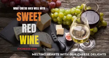 Sweet Red Wine: Best Paired Cheeses for a Flavorful Experience