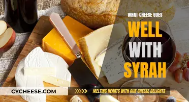 Syrah and Cheese: The Perfect Pairing for Your Palate