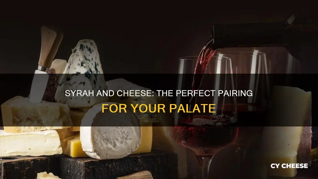 what cheese goes well with syrah