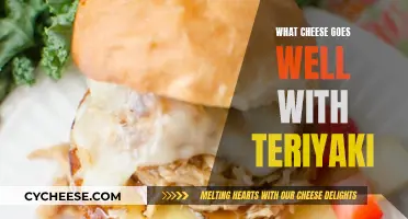 Teriyaki's Cheesy Soulmate: Finding the Perfect Pair