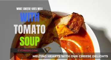 Tomato Soup's Cheesy Affair: Perfect Pairing Options