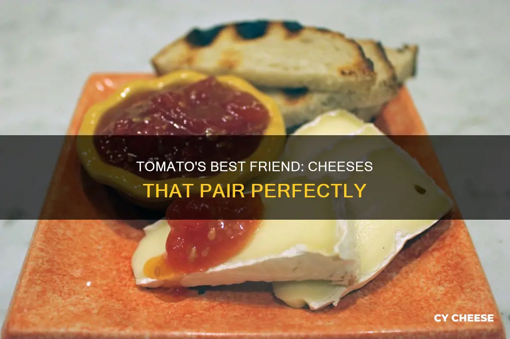 what cheese goes well with tomatoes