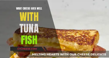 Cheese and Tuna: Perfect Pairing for a Quick Bite