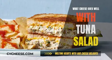 Cheese and Tuna: Perfect Pairing for a Salad