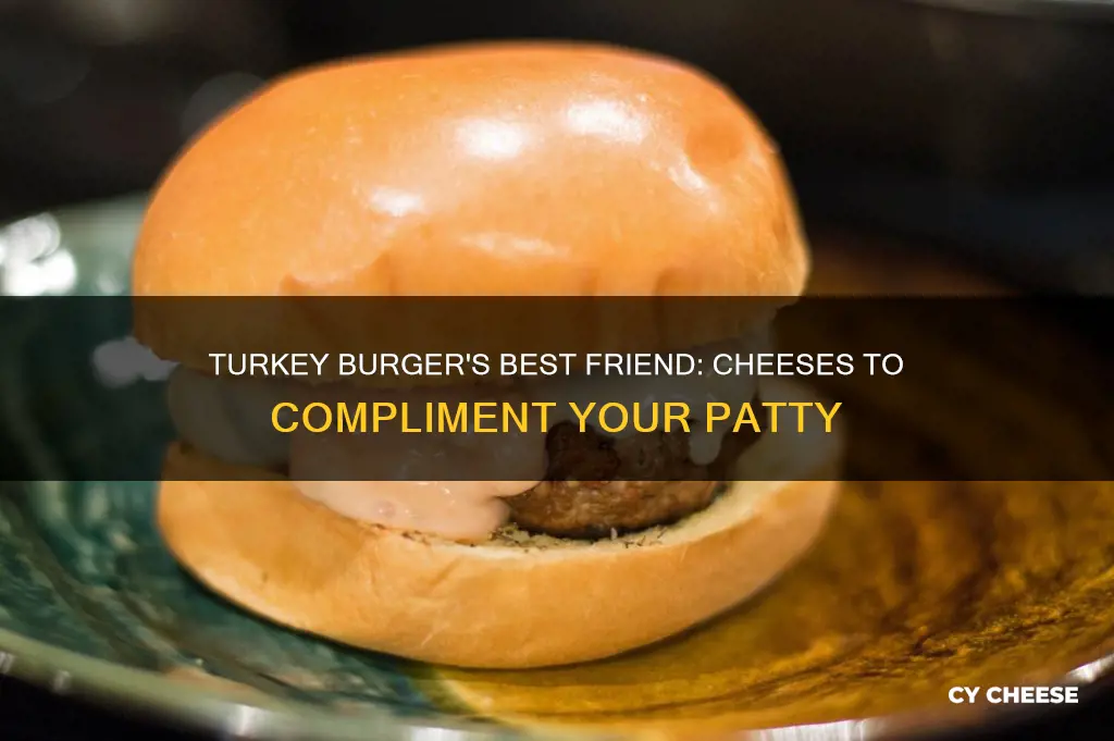 what cheese goes well with turkey burgers